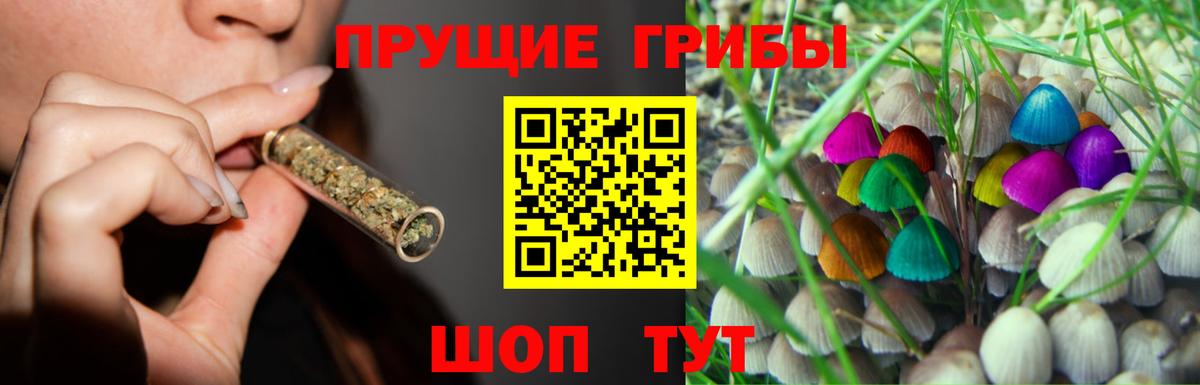 Галлюциногенные грибы Psilocybine cubensis Мыски