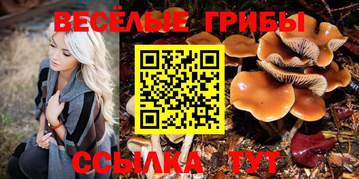 Галлюциногенные грибы Cubensis  Вход с VPN  Галлюциногенные грибы прущие грибы  как найти закладки  Мыски 